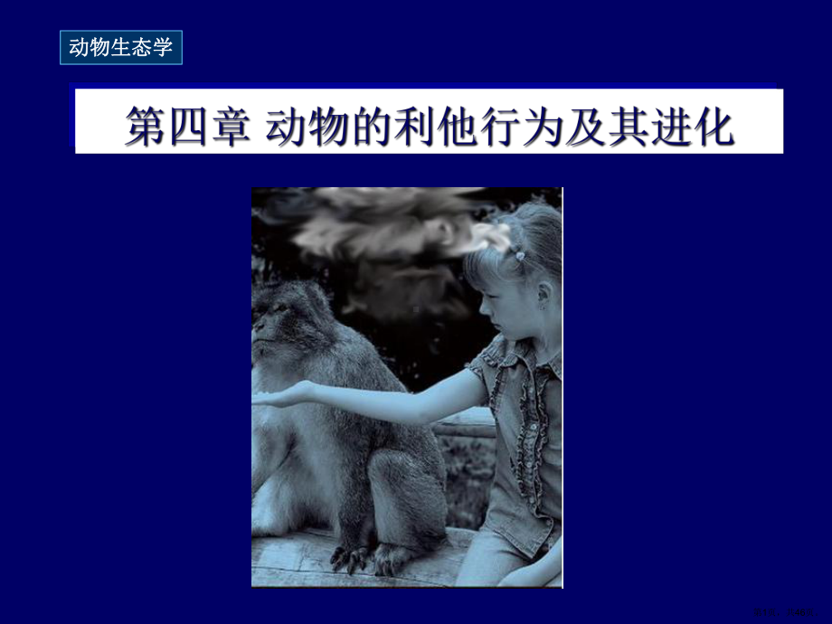 动物的利他行为与亲缘选择课件.ppt_第1页