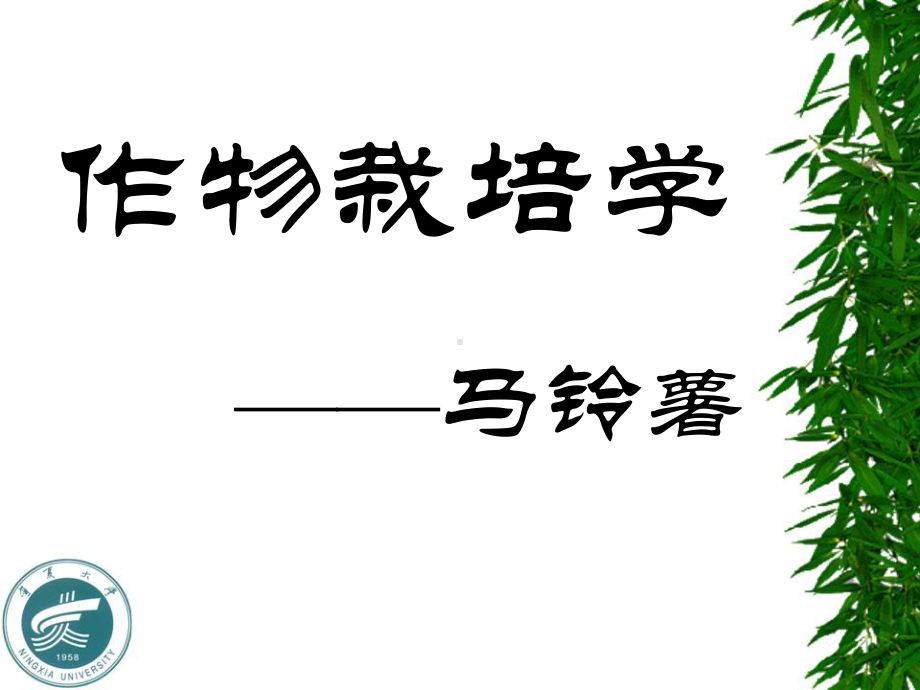 作物栽培学-马铃薯课件.ppt_第1页