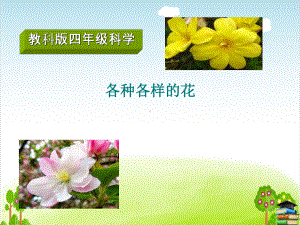 各种各样的花PPT课件-｜教科版.ppt