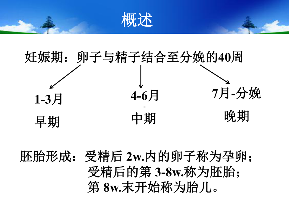 妊娠期和哺乳期用药(医学PPT课件).ppt_第3页