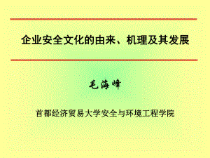 企业安全文化的由来、机理及其发展课件.ppt