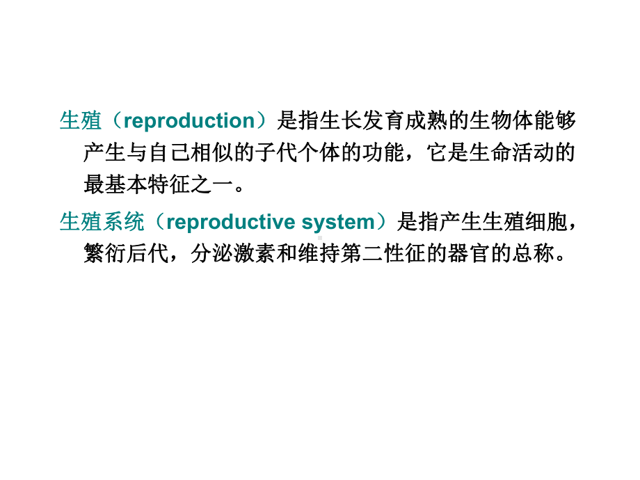 培训第15章生殖系统课件.ppt_第3页