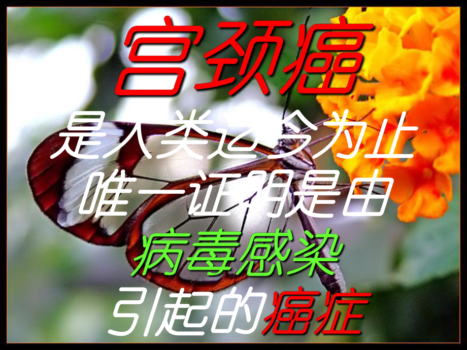 可通过接种疫苗预防的宫颈癌课件.ppt_第2页