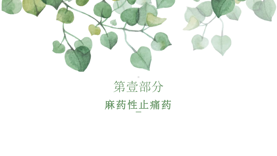 各种阿片类药物的药理学特征课件.pptx_第3页