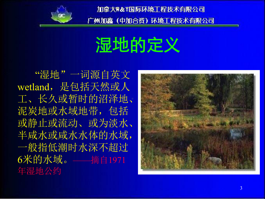 人工湿地设计手册美国EPA.ppt_第3页