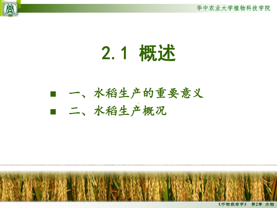 作物栽培学-水稻课件.ppt_第2页