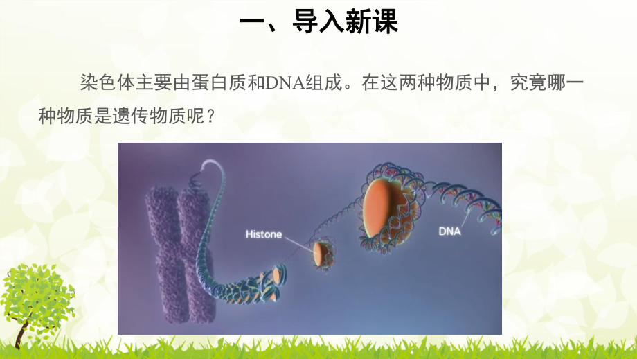 人教版生物必修二DNA是主要的遗传物质课件.pptx_第2页