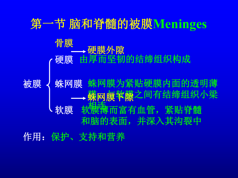 人体解剖学：脑膜脑血管课件.ppt_第3页