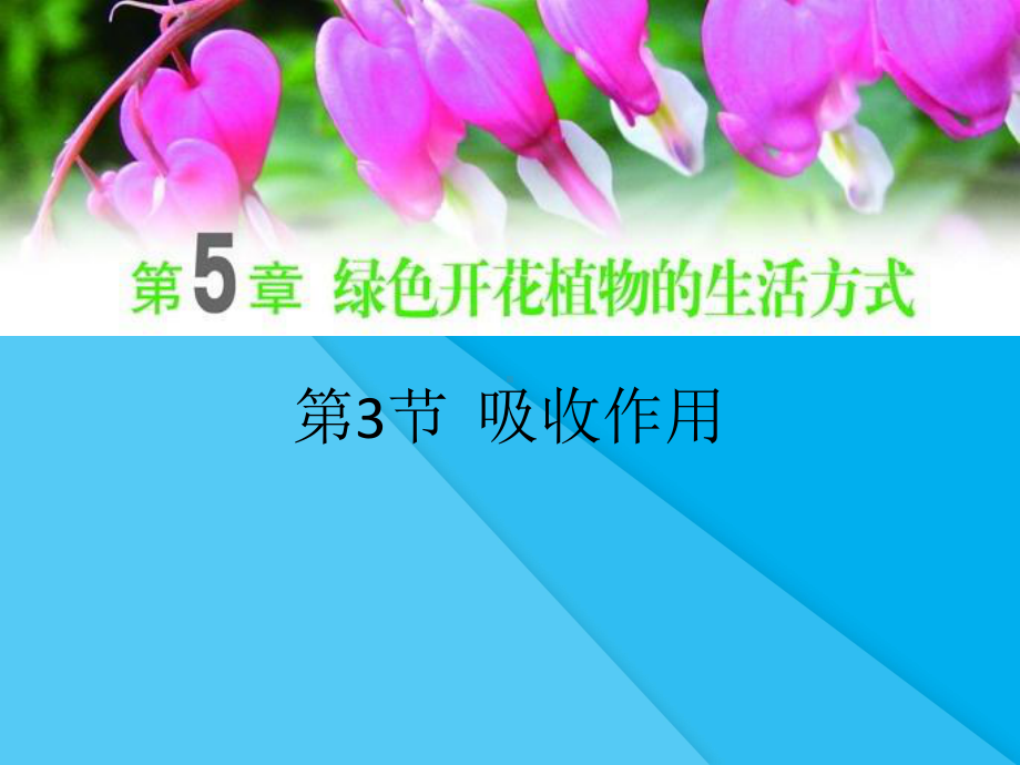 吸收作用PPT课件6(5份打包)-北师大版优秀课件.pptx_第1页