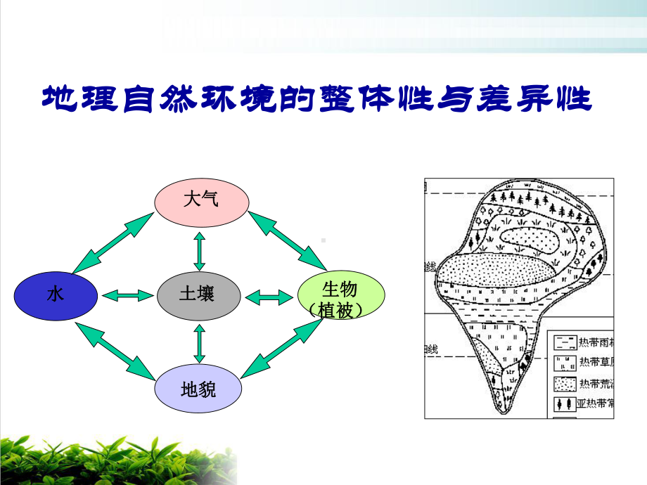 人教版地理必修一第五章自然地理环境的整体性和差异性课件.ppt_第1页