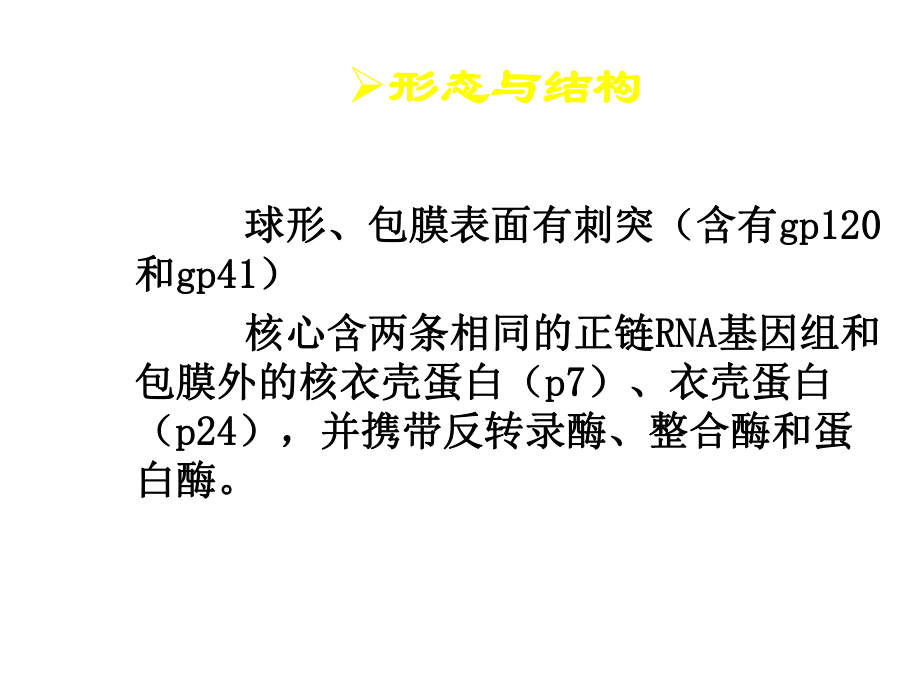 人类免疫缺陷病毒概述课件.ppt_第3页