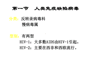 人类免疫缺陷病毒概述课件.ppt