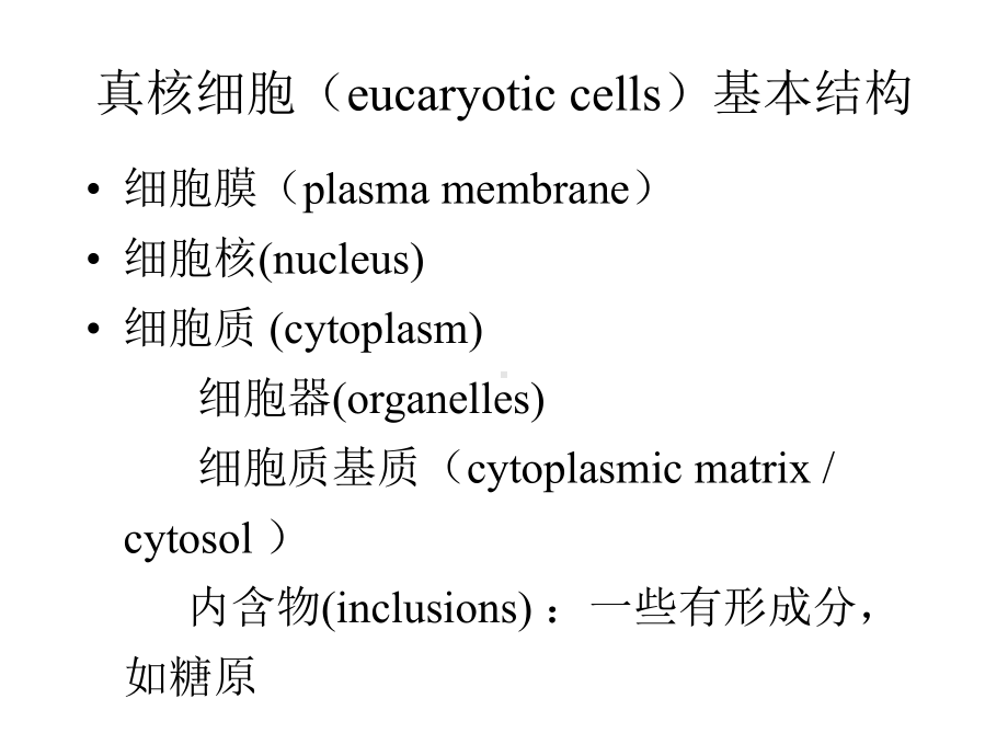 大学细胞生物学-第五章--细胞的内膜系统.课件.ppt_第2页