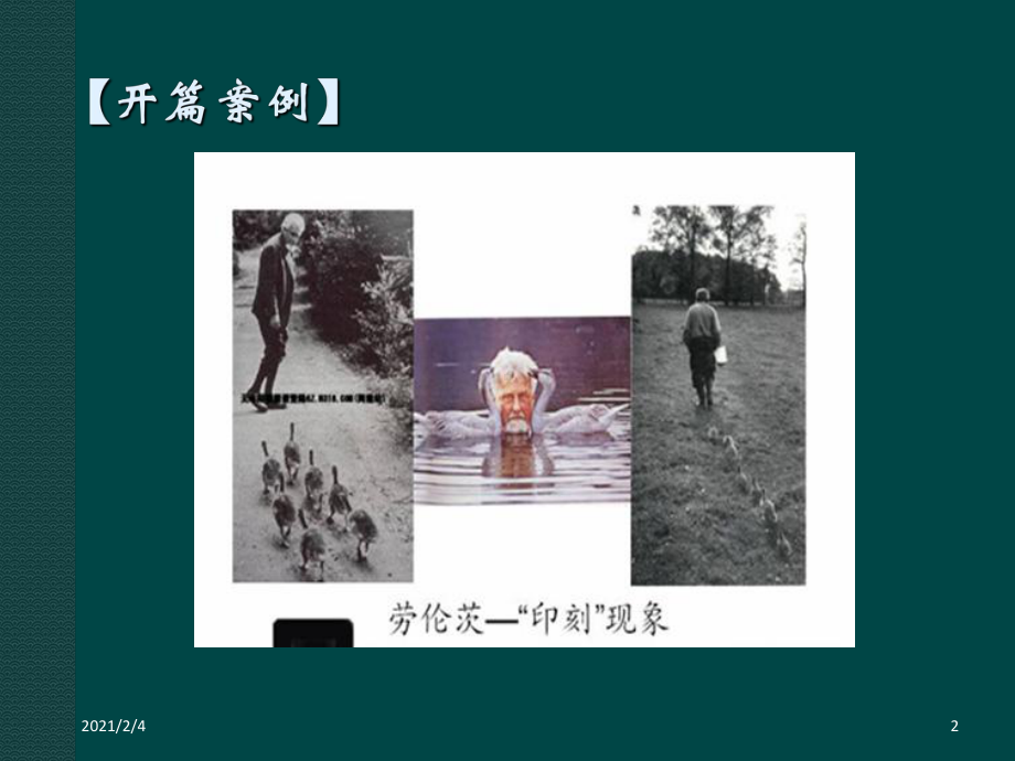 学生的心理发展概述课件.ppt_第2页