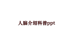 人脑介绍科普ppt课件.ppt