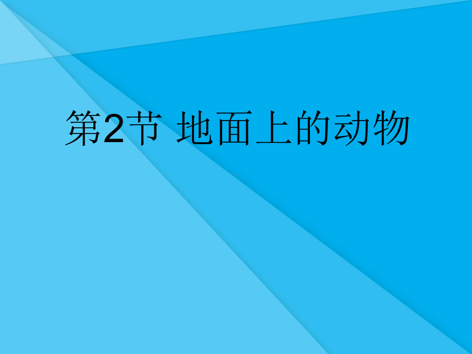 地面上的动物PPT课件5-苏科版优秀课件.ppt_第1页