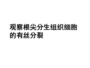 人教版生物必修一-6-1实验观察根尖分生区细胞的有丝分裂课件.ppt