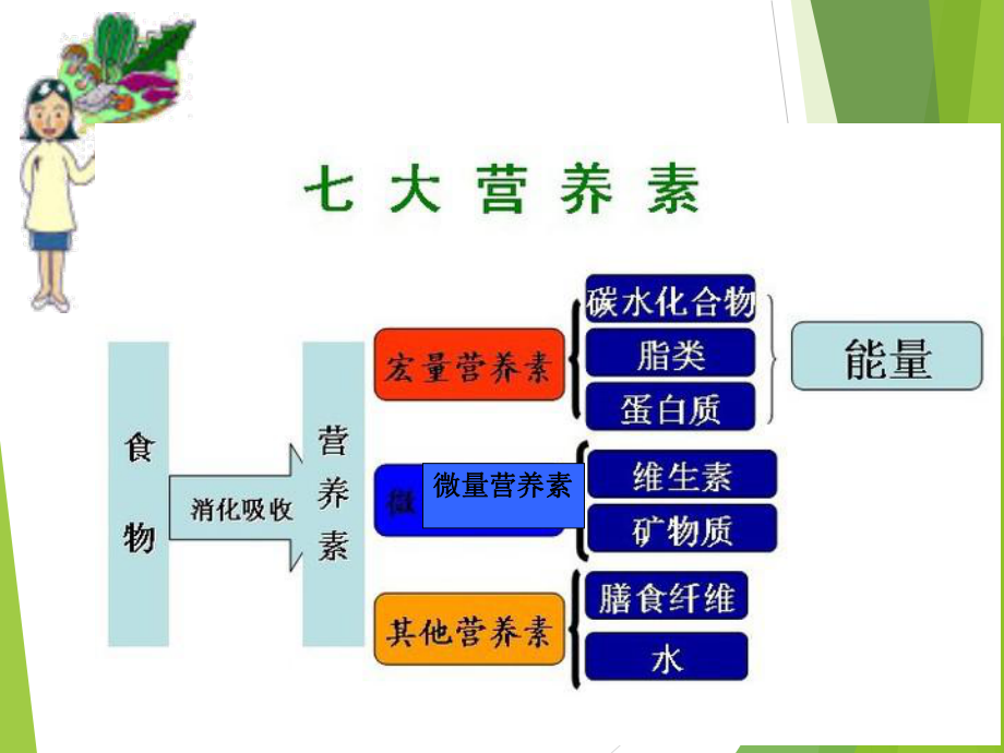 吃清洁卫生不变质的食物课件.ppt_第3页