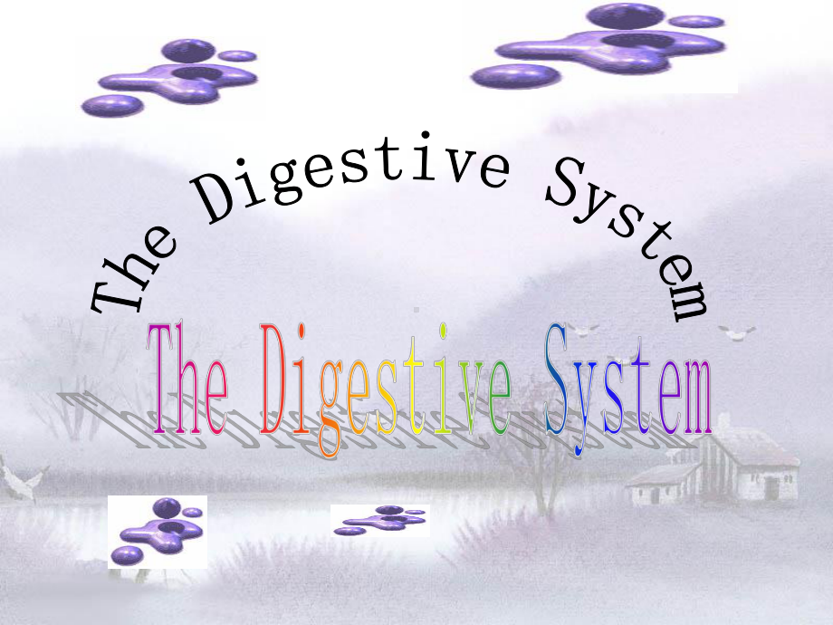 双语医学课件2-消化系统The-Digestive-System.ppt_第1页