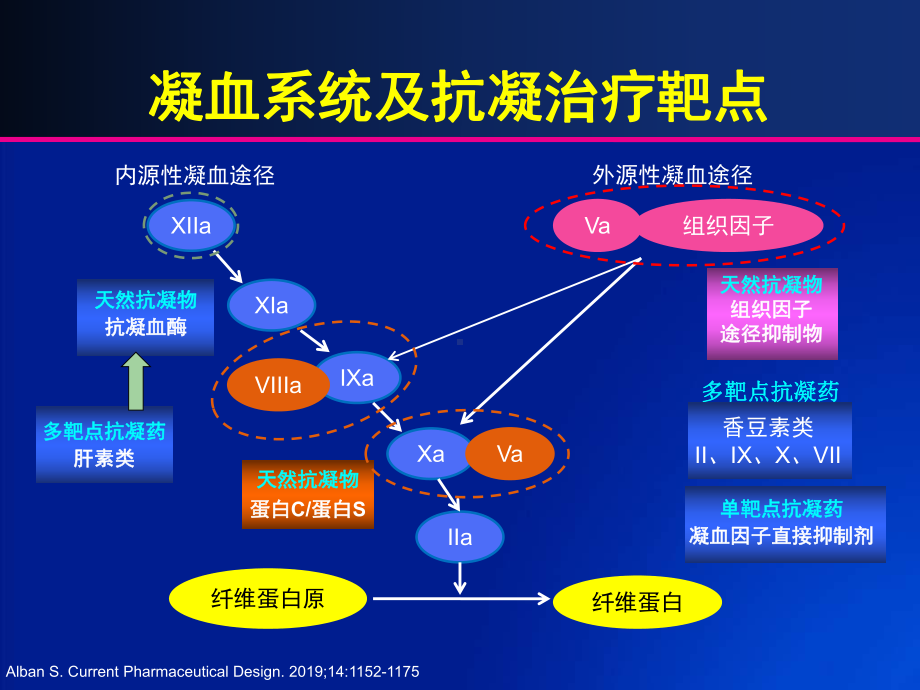 从抗凝机制的角度理解和选择抗凝药物-课件.ppt_第2页