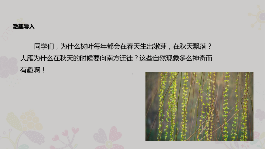 大自然的有趣现象-PPT课件.pptx_第2页