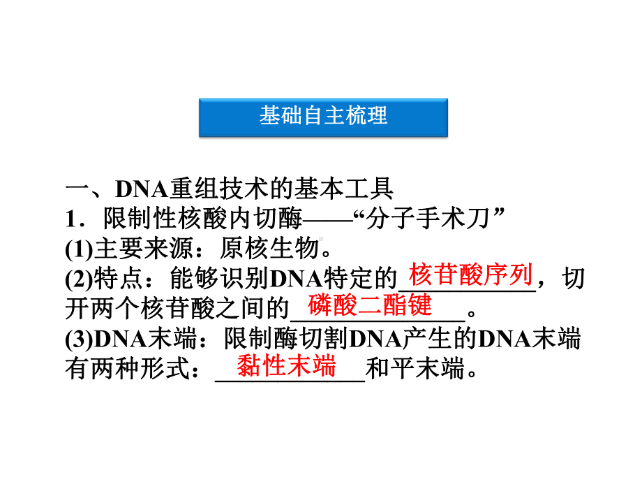 基因工程的基本操作程序2课件.ppt_第3页