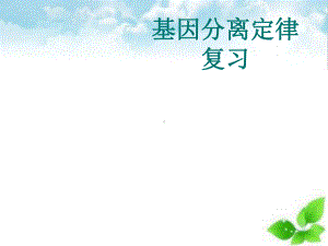 基因分离定律复习ppt课件(自制).ppt