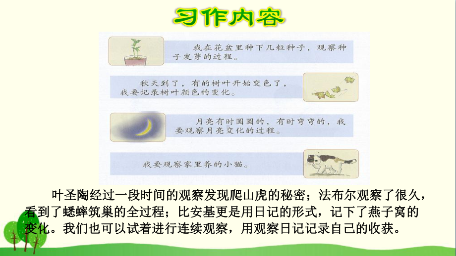 人教部编版-习作：写观察日记-PPT课件5.ppt_第3页