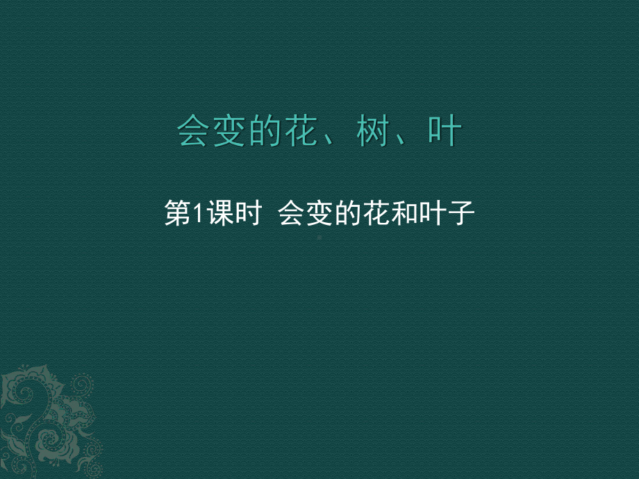 会变的花树、叶课件.ppt_第2页