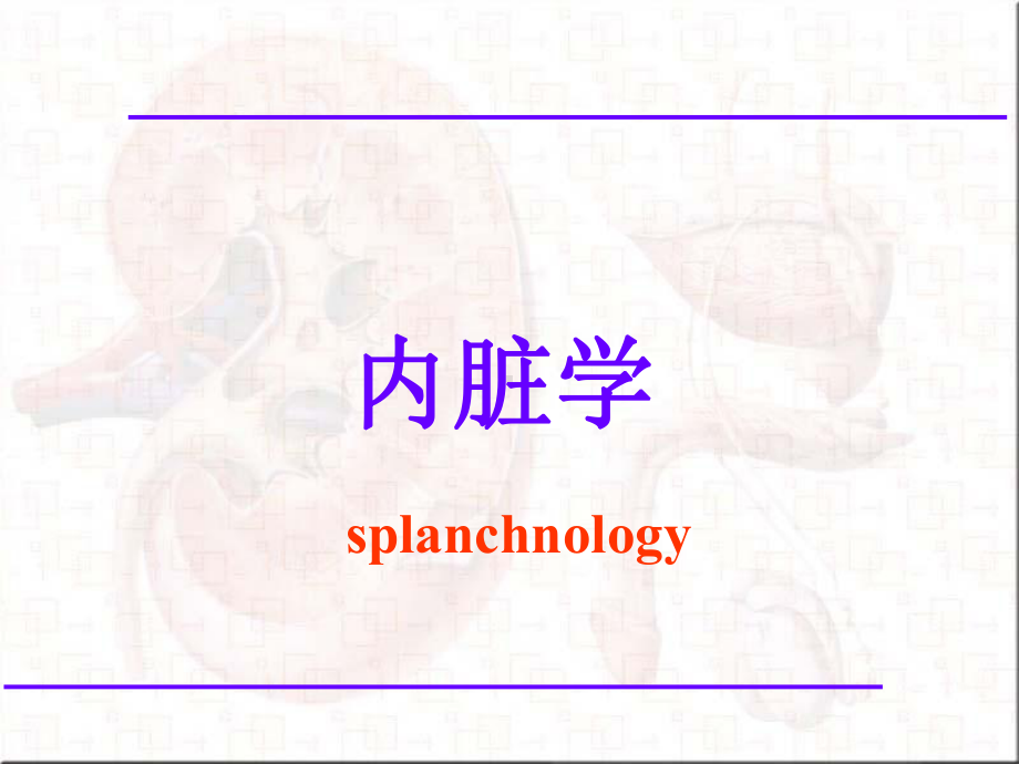 人体解剖学-消化系统及腹膜课件.ppt_第1页