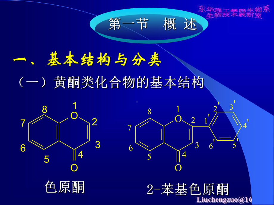 天然产物化学5黄酮类化合物课件.ppt_第3页