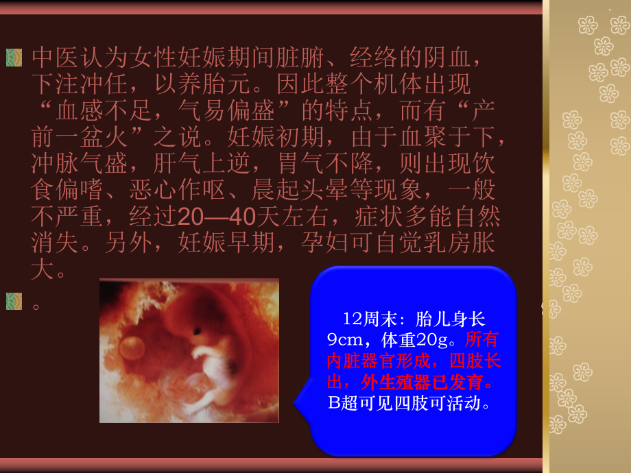 孕产妇中医健康管理技术规范-课件.ppt_第2页