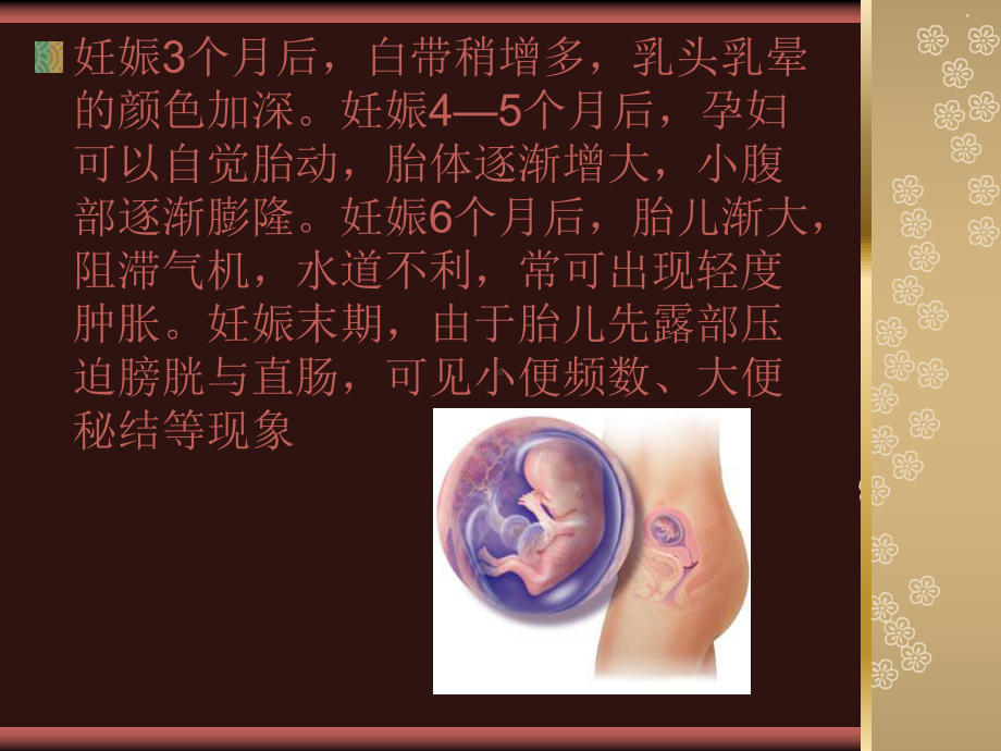 孕产妇中医健康管理技术规范-课件.ppt_第3页