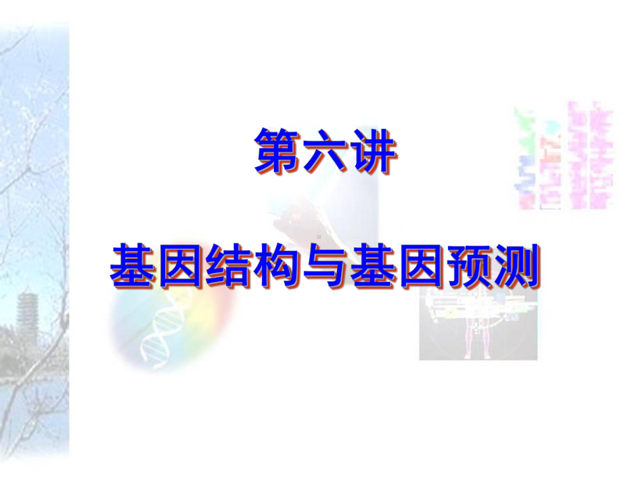 基因结构及基因预测课件.ppt_第1页