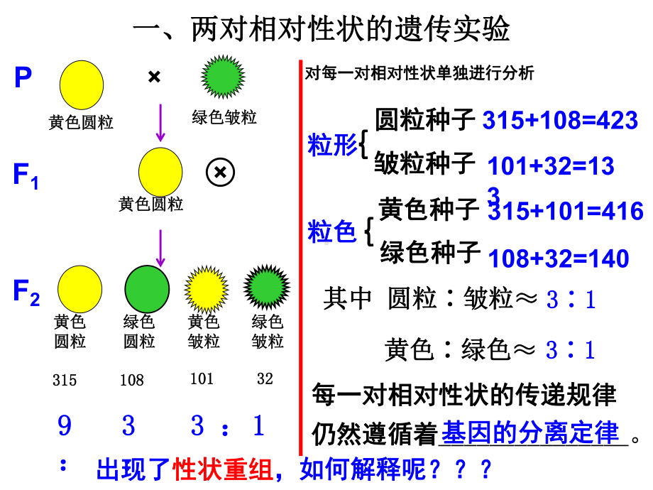 孟德尔定律之二自由组合定律课件.ppt_第2页