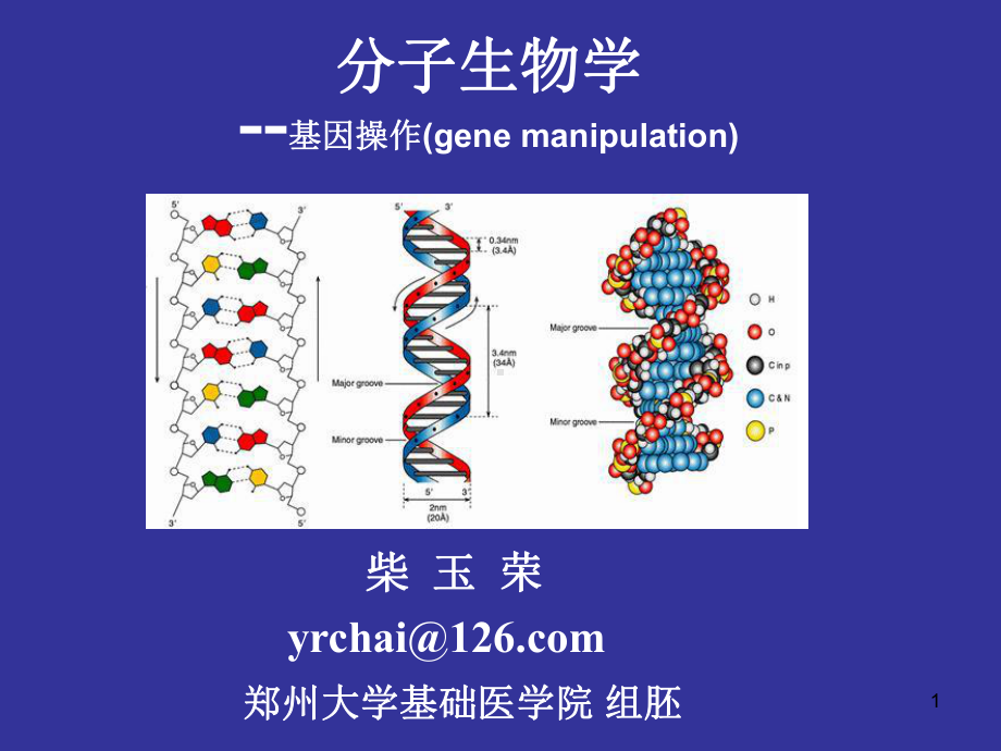 中文版分生第七课课件.ppt_第1页