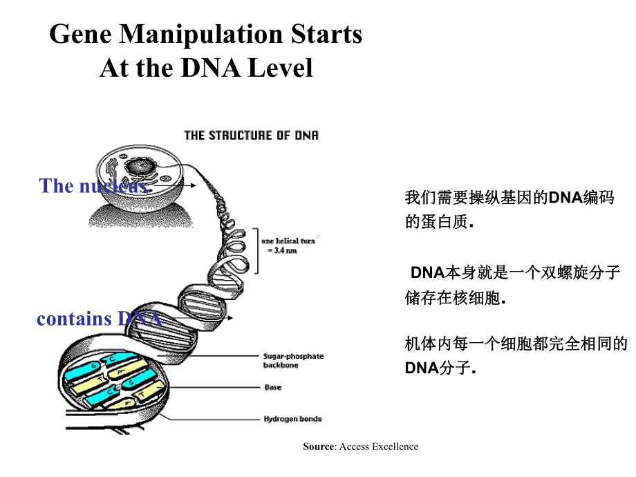 中文版分生第七课课件.ppt_第2页