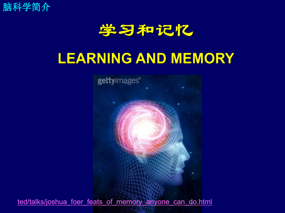 学习和记忆-脑科学简介课件.ppt_第1页