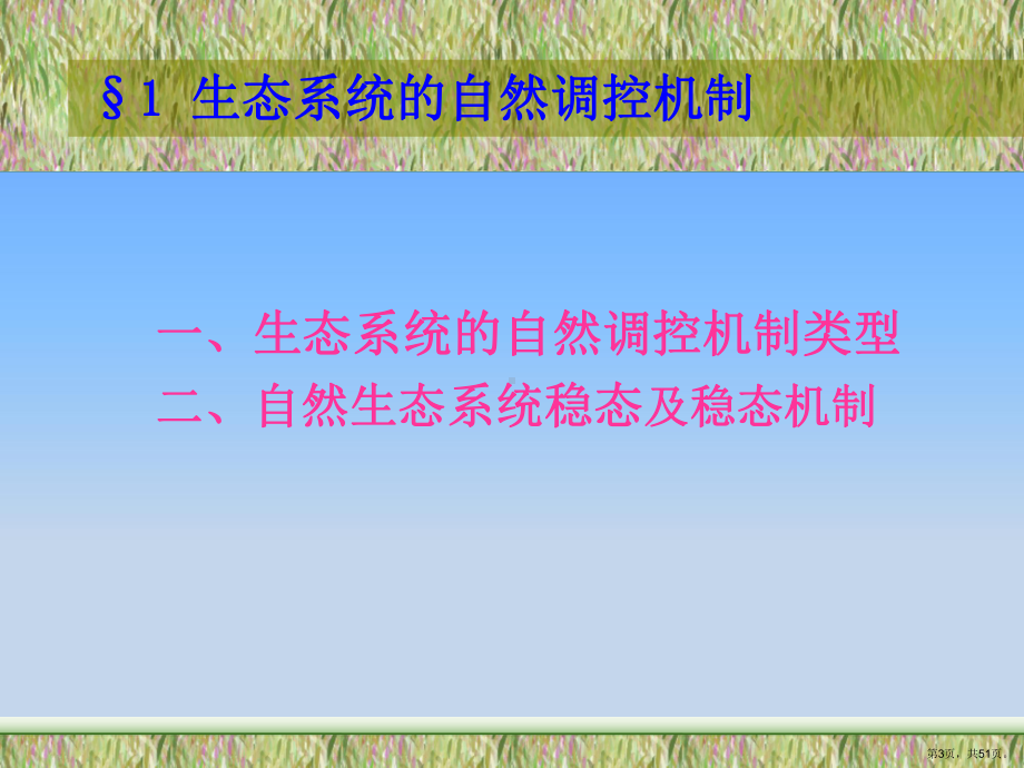 农业生态系统调节与控制课件.ppt_第3页