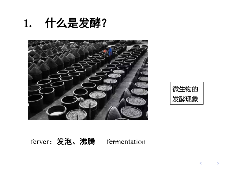 发酵工程原理绪论课件.ppt_第1页