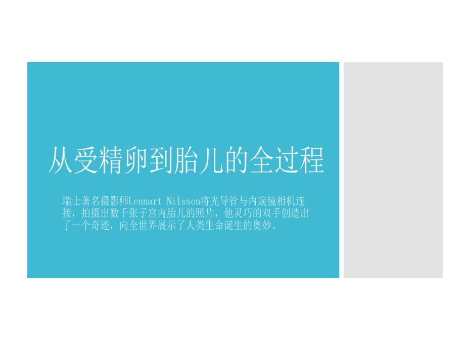 从受精卵到胎儿全过程共20页课件.ppt_第1页