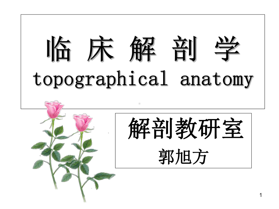 临床解剖临床脊柱区课件.ppt_第1页