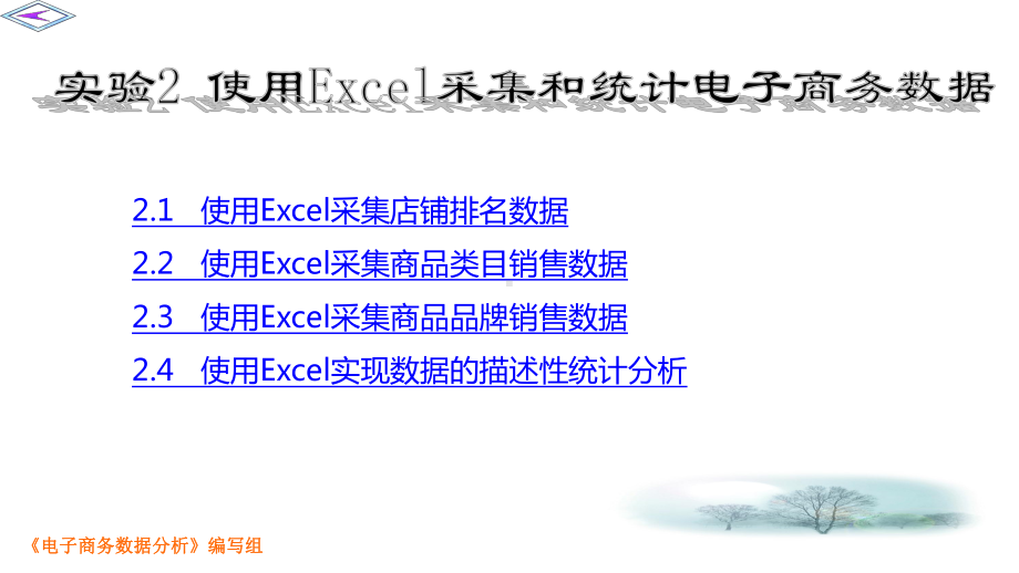 使用Excel采集和统计电子商务数据课件.pptx_第2页