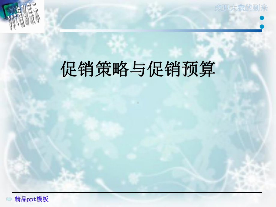 促销策略与促销预算课件.ppt_第1页