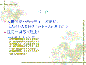 人脸识别综述课件.ppt