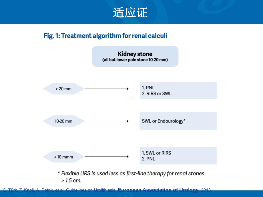 复杂肾结石的最优解决方案ppt课件.pptx_第2页