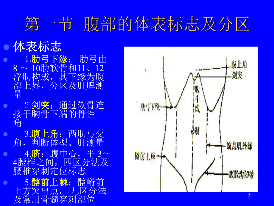 临床诊断学--正常腹部检查-精选课件.ppt_第3页