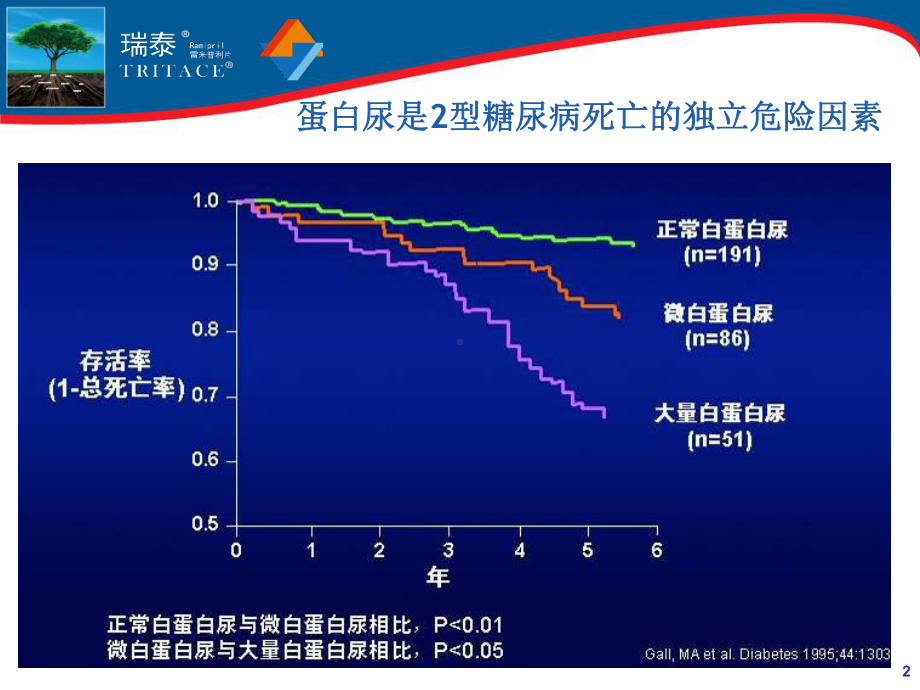 从肾科角度看ACEI的临床应用课件.ppt_第2页