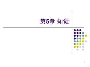 基础心理学知觉课件.ppt