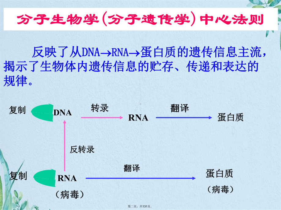 基因信息的传递(共131张)课件.pptx_第2页